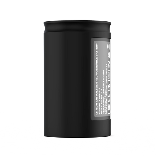 Black lithium ion polymer rechargeable battery with label, upright on white background