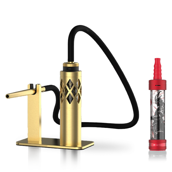 Modern gold shisha set with black hose and portable red hookah device side by side